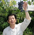 川波さん 川波さん