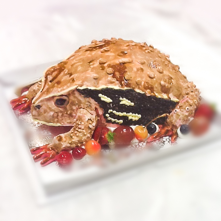 カエルの3Dケーキ-1-3