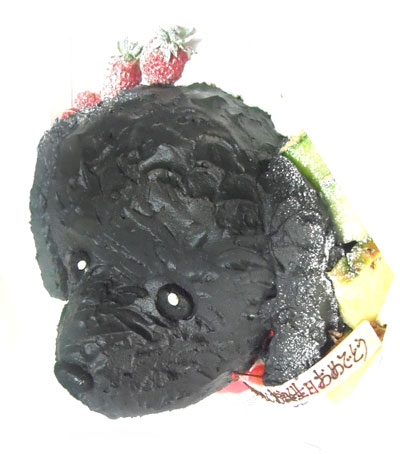 犬のケーキ プードル トイプードル の立体ケーキ