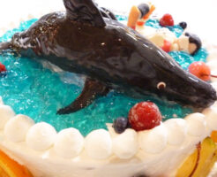 イルカの3Dケーキ