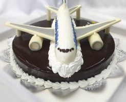 飛行機ケーキ