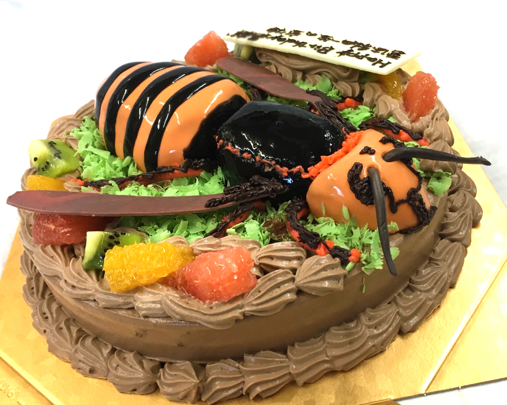 昆虫の3Dケーキ